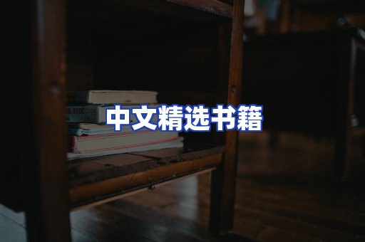 中文精选书籍